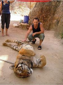 THAILANDE LE TEMPLE DES TIGRES (7)